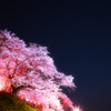 夜桜と星景