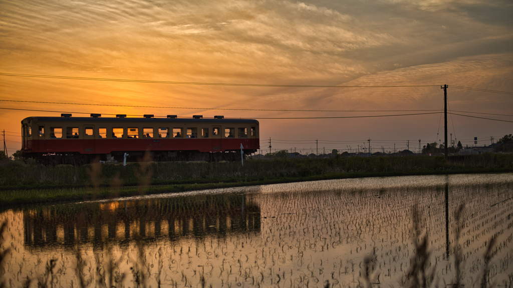 鉄道 & 夕景