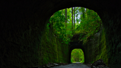 隧道 & 森林