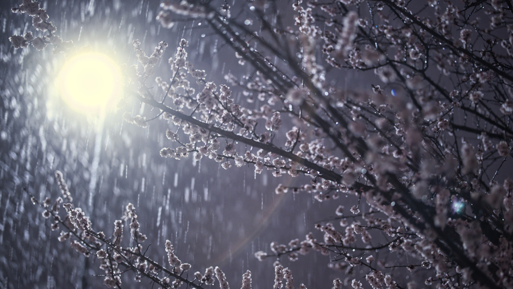 雪と梅と街灯