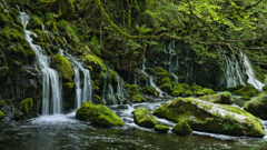 苔と渓流