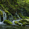 苔と渓流