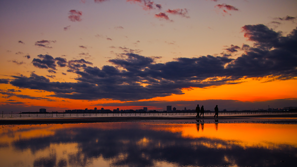 夕景 & 干潟