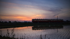 田んぼ & 鉄道