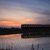 田んぼ & 鉄道