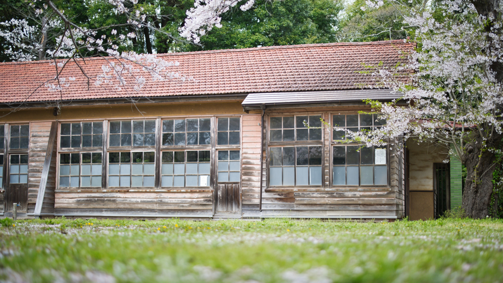 廃校と桜