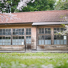 廃校と桜