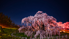 滝桜と星景