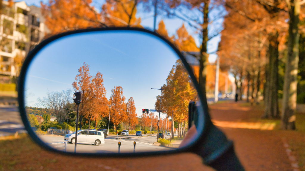 鏡の中の紅葉