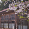 廃校と桜吹雪