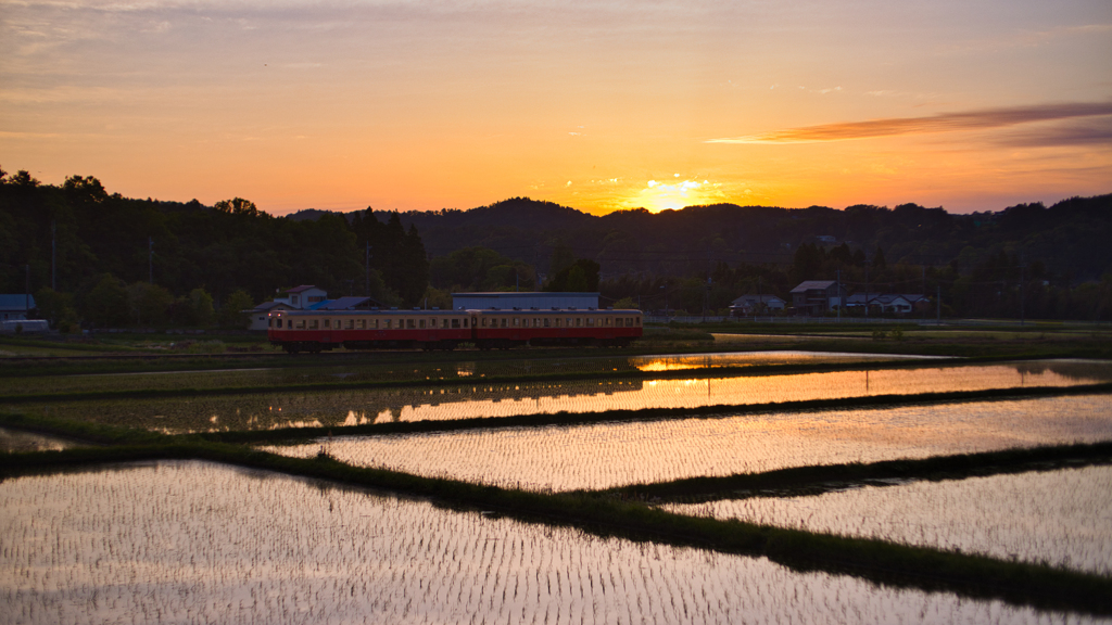 田んぼ & 鉄道