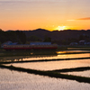 田んぼ & 鉄道