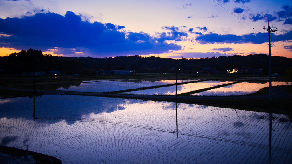 水田 & 夕景