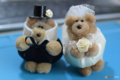 Wedding bear pair