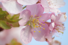 公園の片隅で