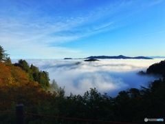 雲海
