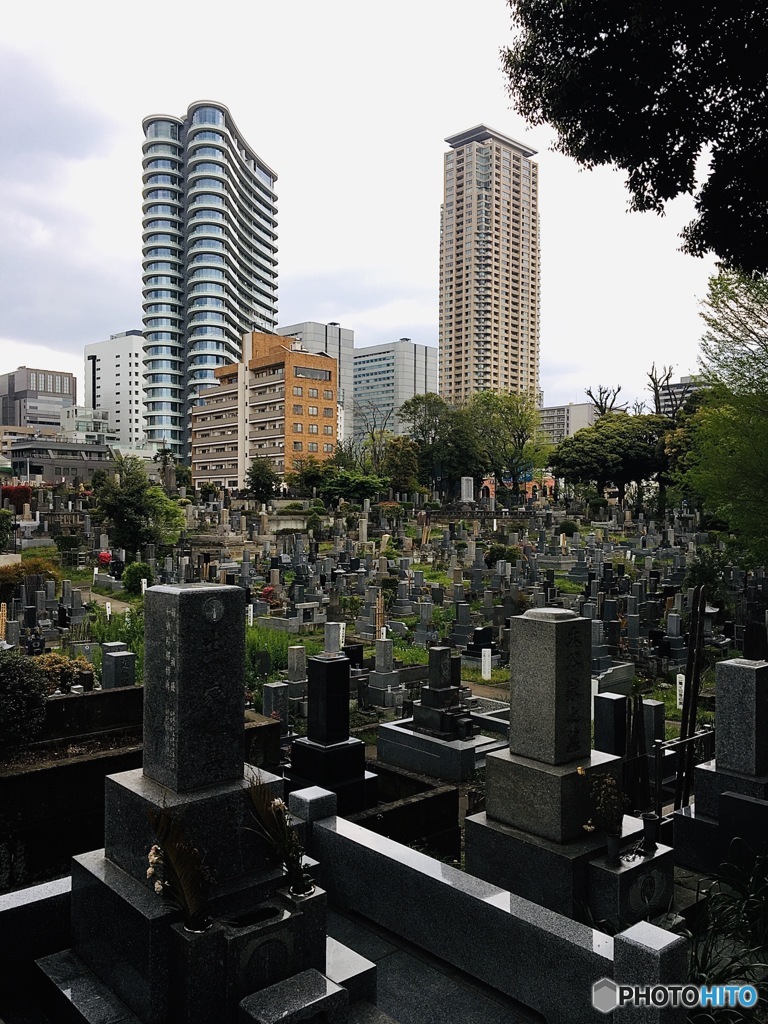 青山霊園