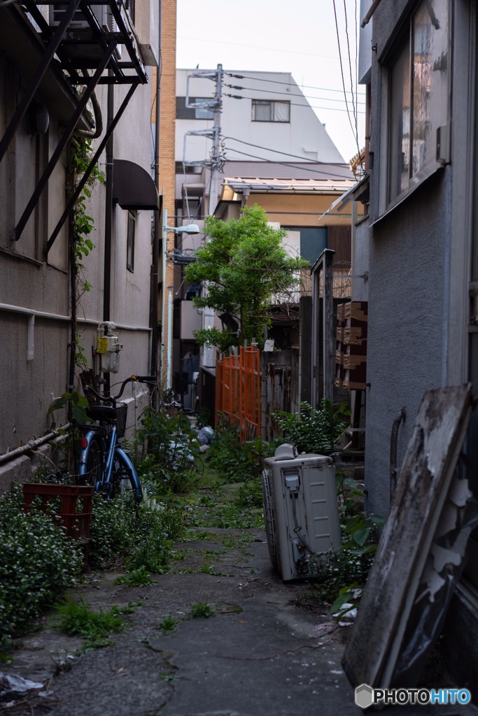 路地裏