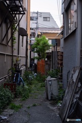 路地裏