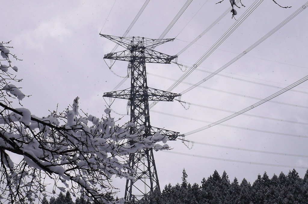 雪