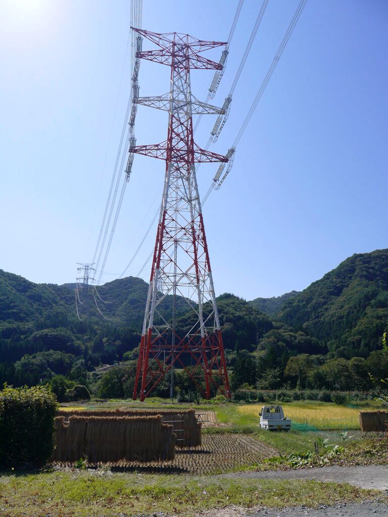 収穫