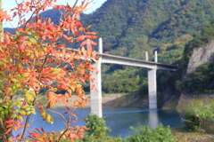 季節は秋へ
