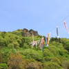 鯉登り