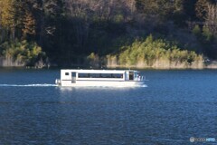 冬のダム湖　　水専用バスが走る