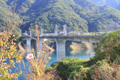 秋への移ろい