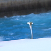 氷を纏う