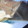 虹の架け橋