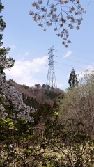 春の鉄塔