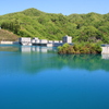 緑でいっぱいのダム湖