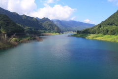 今日は緑が良いね。