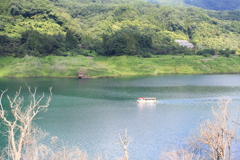 湖上は気持ちいいだろうな。　