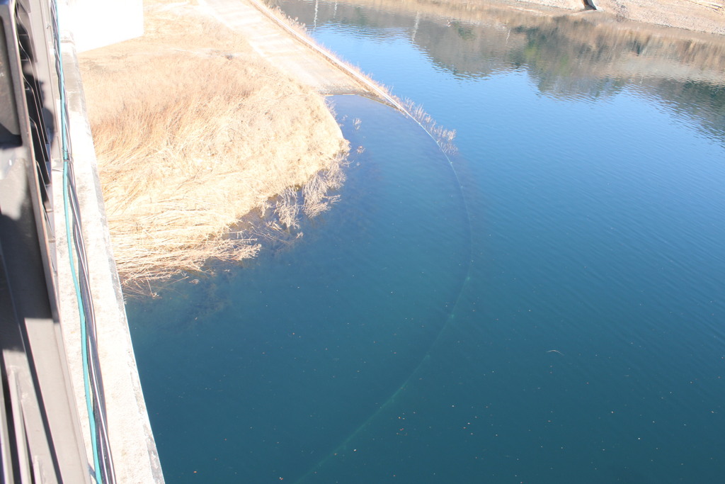 湖底へと続く道