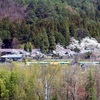 桜色