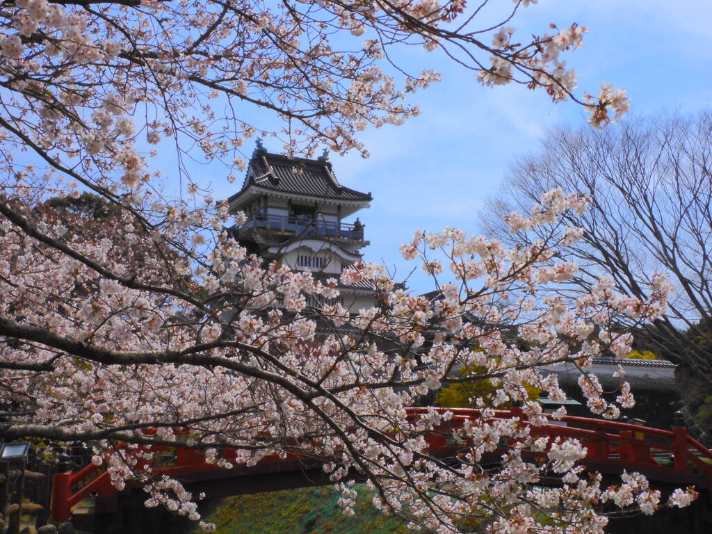 城と桜