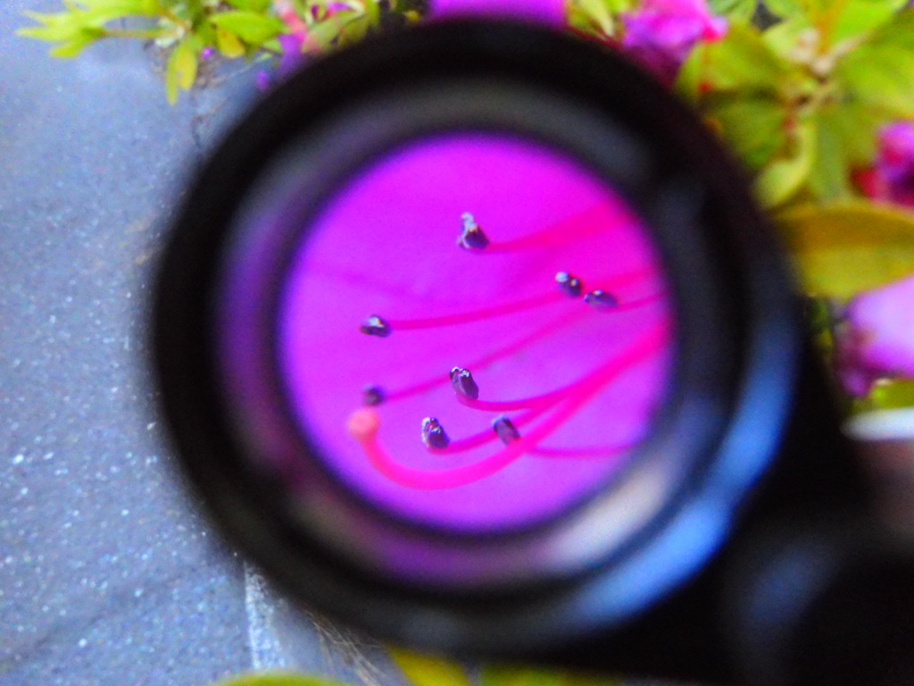 レンズは変えられないので