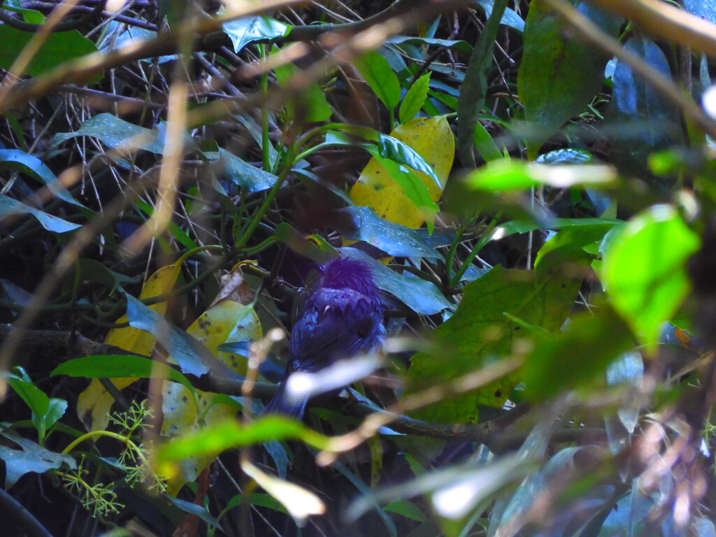 いつも後ろ向き