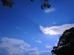 雨上がり