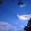 雨上がり