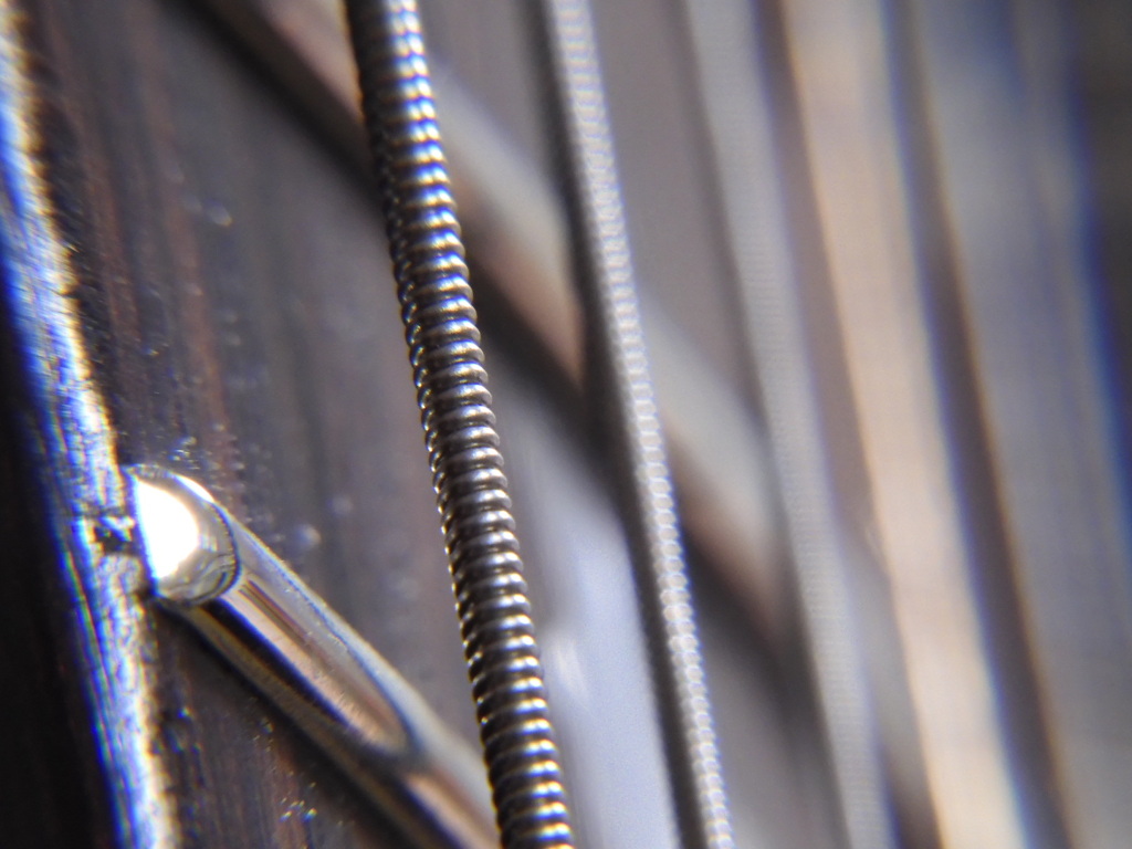 ギター弦(ｸﾛｰｽﾞｱｯﾌﾟﾚﾝｽﾞ)