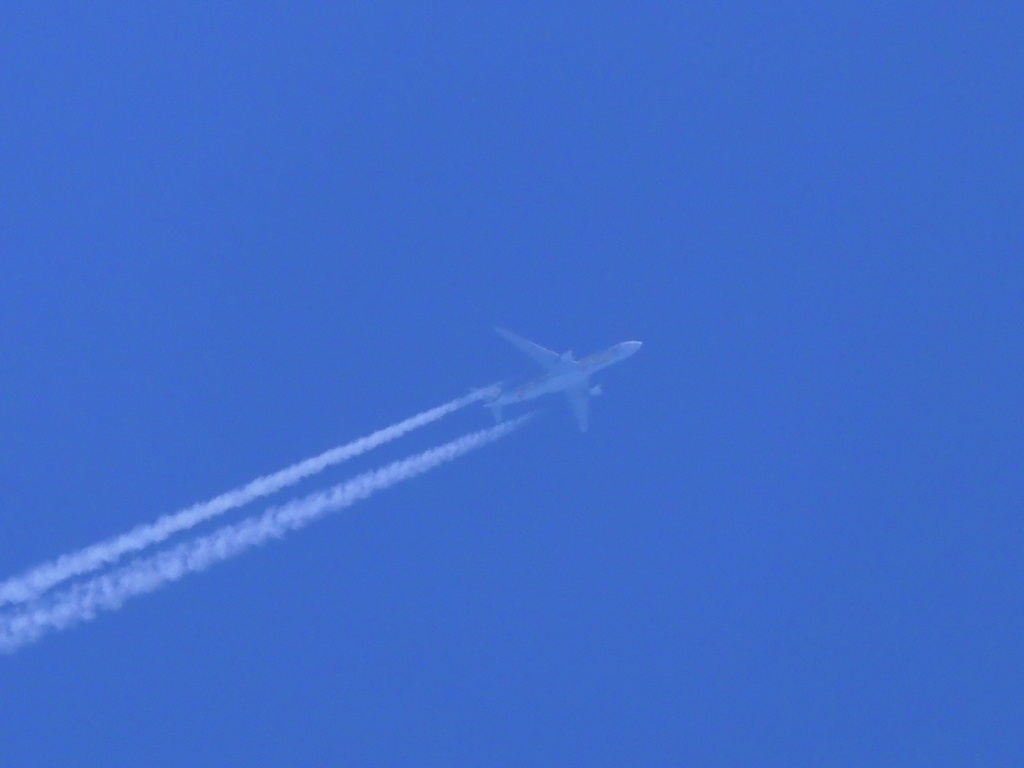 最大望遠リベンジ