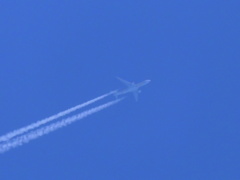 最大望遠リベンジ