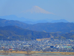 茶畑から望む富士