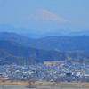 茶畑から望む富士