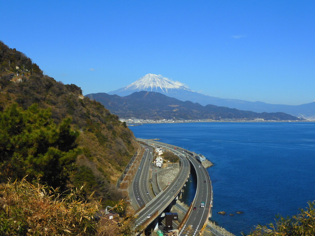 県中部のニュースライブカメラ目線