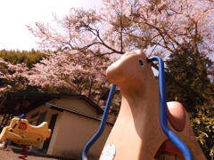 ノスタルジアな遊具と桜