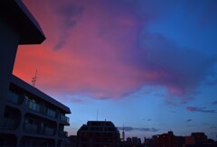 夕方の福岡タワー